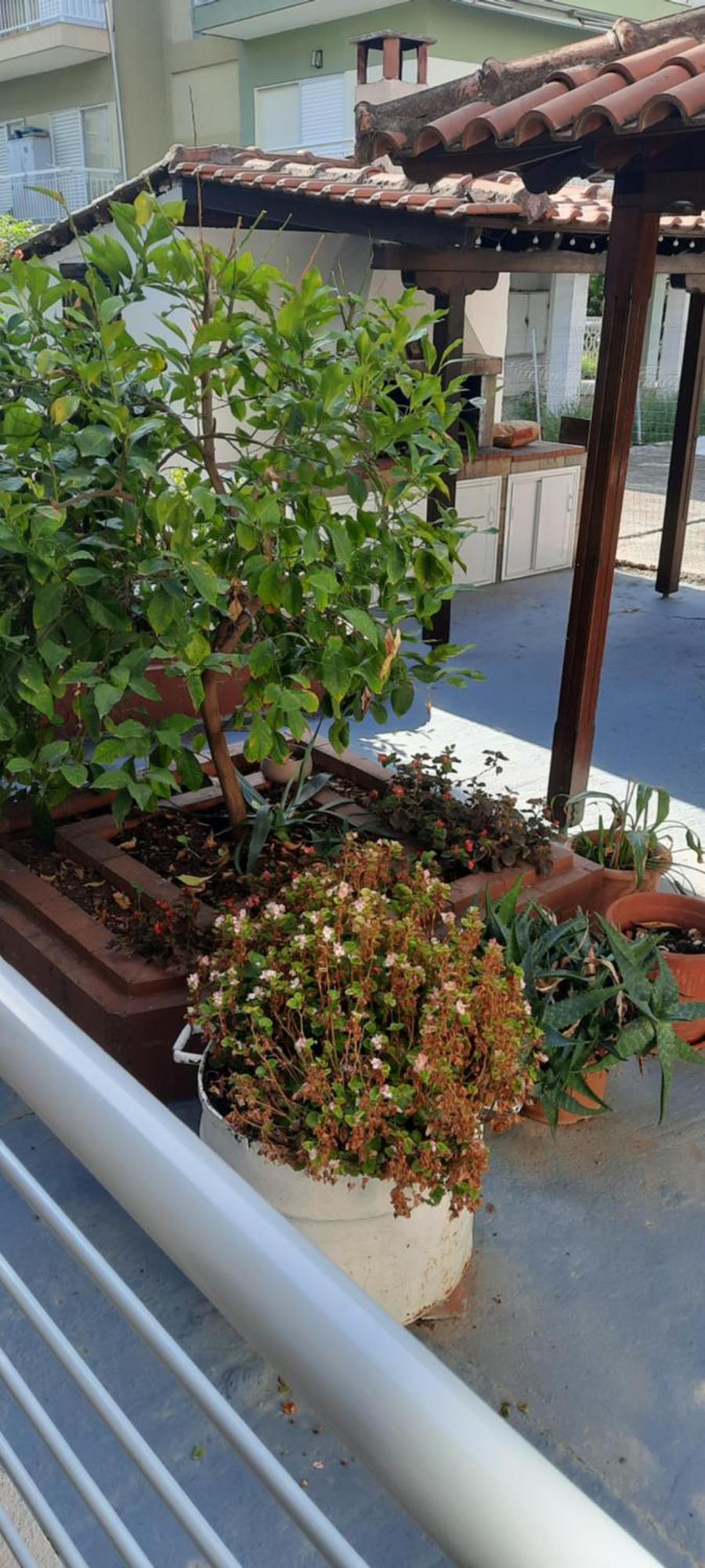 Seaside Family Apartment In Paralia Dionisiou מראה חיצוני תמונה