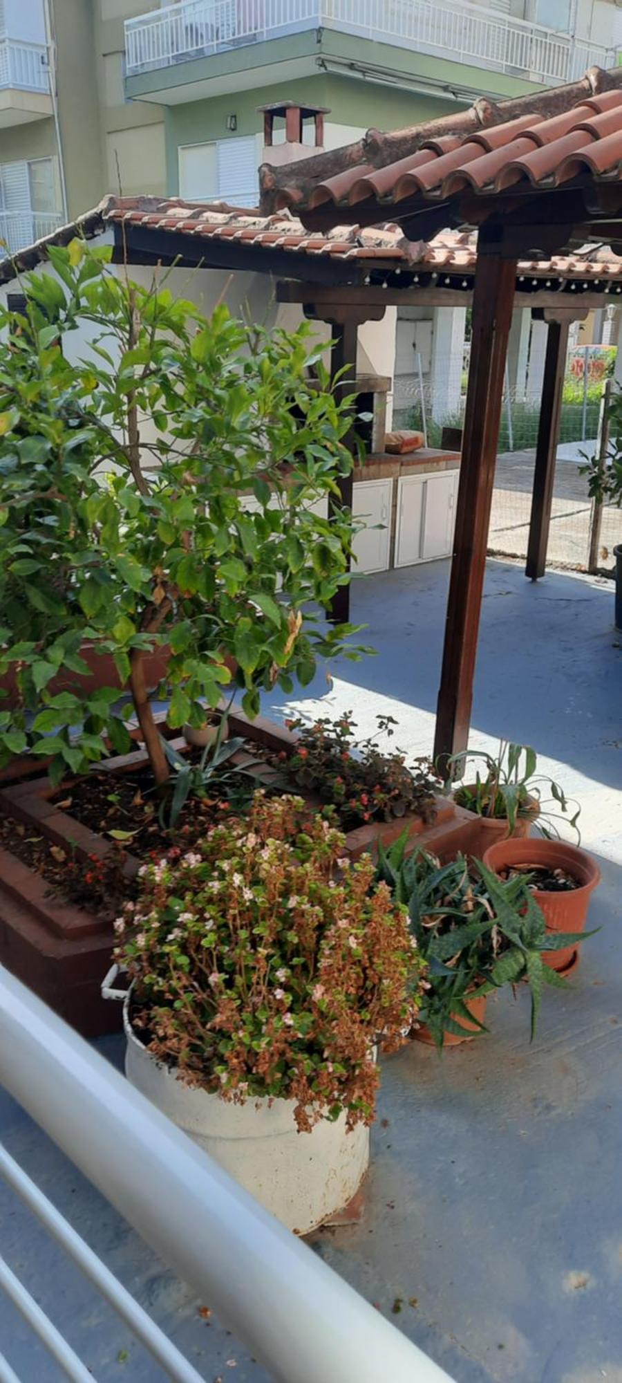 Seaside Family Apartment In Paralia Dionisiou מראה חיצוני תמונה