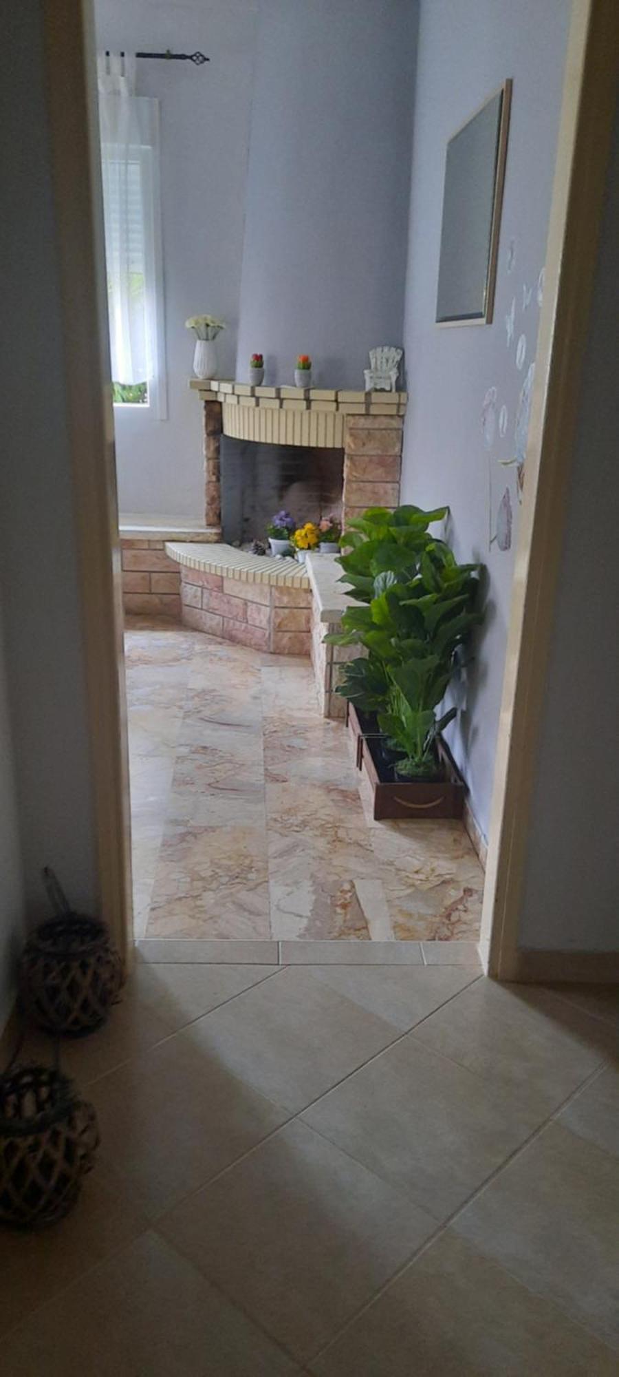 Seaside Family Apartment In Paralia Dionisiou מראה חיצוני תמונה